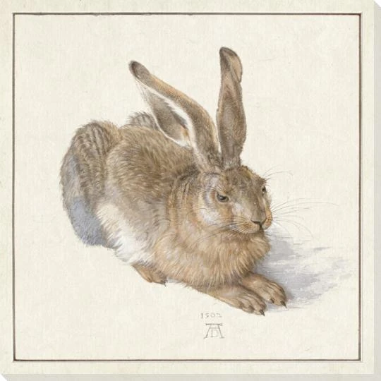 The Hare Wrapped Canvas Giclee Art Print Wall Art