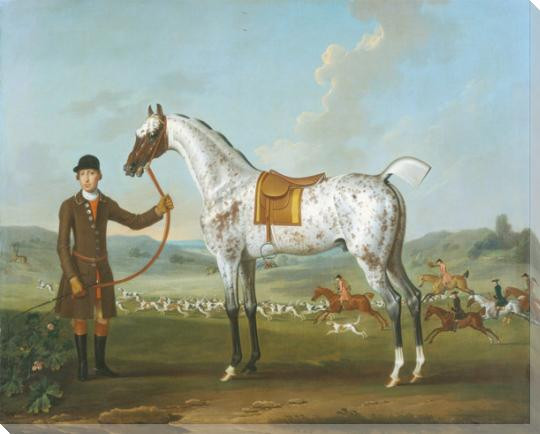 Gray Hunter Wrapped Canvas Giclee Art Print Wall Art