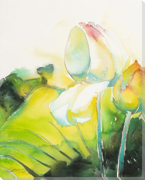 Pale Lotus Flower Wrapped Canvas Giclee Print Wall Art