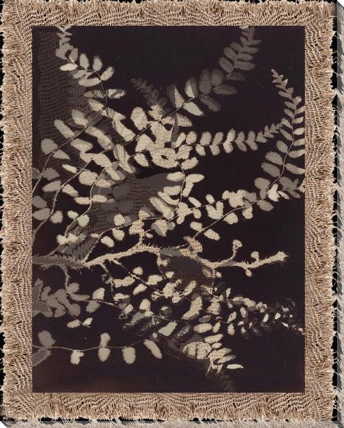 Burlap & Fern Photogram 1 Wrapped Canvas Giclee Art Print Wall Art