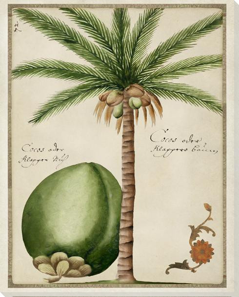 Tropical Trees 1 Wrapped Canvas Giclee Art Print Wall Art