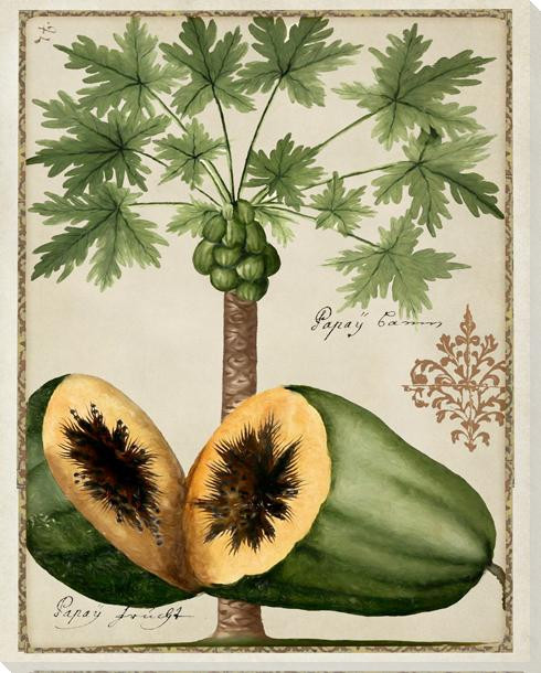 Tropical Trees 3 Wrapped Canvas Giclee Art Print Wall Art