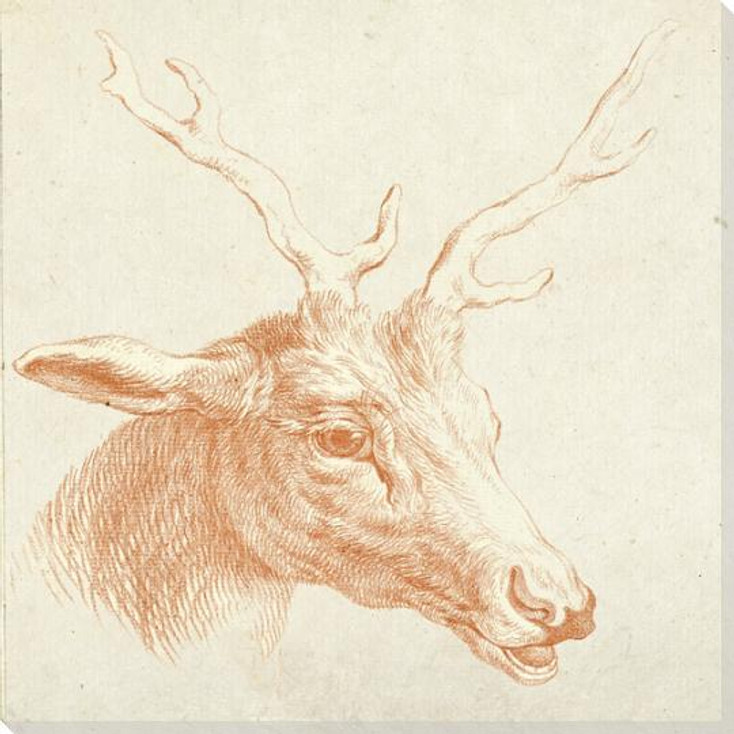 The Stag Wrapped Canvas Giclee Art Print Wall Art
