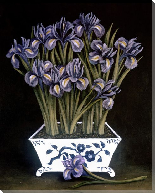 Still Life of Irises Wrapped Canvas Giclee Print Wall Art