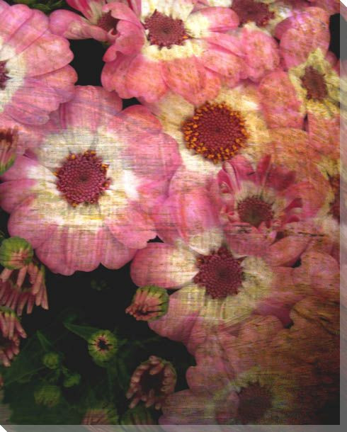 Luxurious Flowers III Wrapped Canvas Giclee Print Wall Art