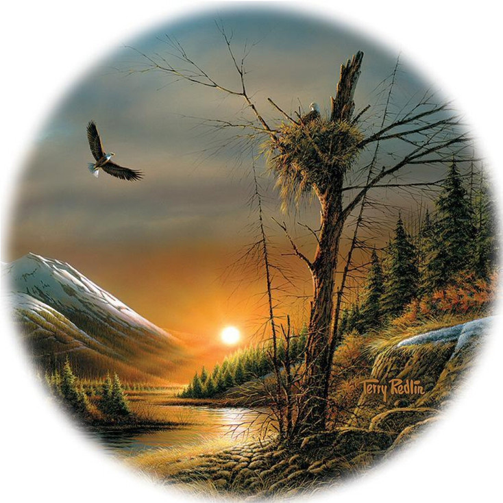 Flying Free Eagle Bird Absorbent Beverage Coasters by Terry Redlin, Set of 4