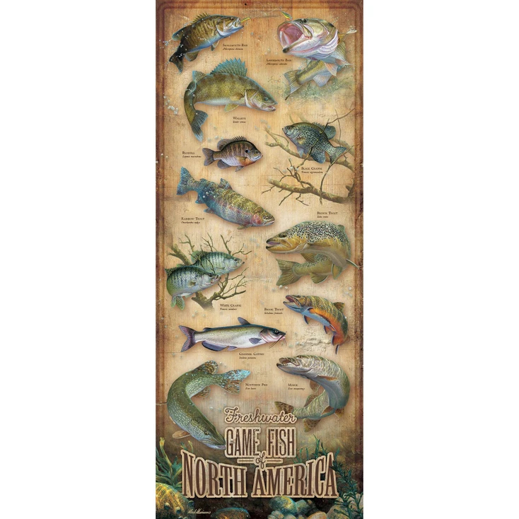 12" x 30" Freshwater Fish of North America Wood Sign
