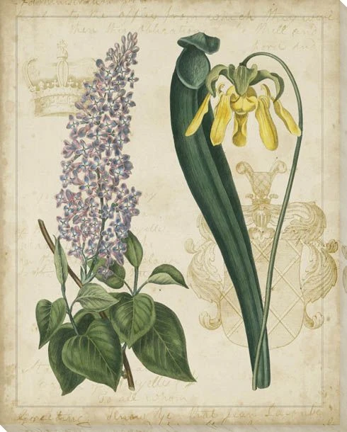 Botanical Repertoire Flowers IV Wrapped Canvas Giclee Print