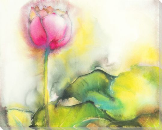 Soft Pink Beauty Flower Wrapped Canvas Giclee Print Wall Art