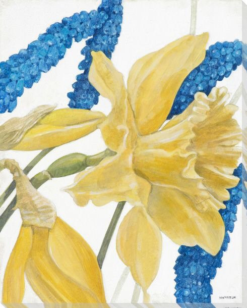Daffodils and Hyacinth Flowers II Wrapped Canvas Giclee Print