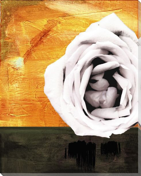 Soft Pink Rose in Sunshine Wrapped Canvas Giclee Print Wall Art