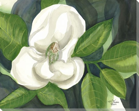 Magnolia Flower on Charcoal Wrapped Canvas Giclee Print Wall Art
