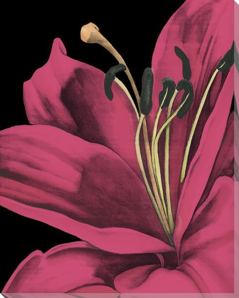 Pink Graphic Lily Flower IV Wrapped Canvas Giclee Print Wall Art