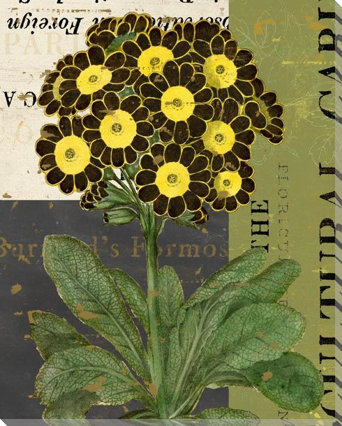 Floricultural Cabinet 1835 Flower 5 Wrapped Canvas Giclee Art Print