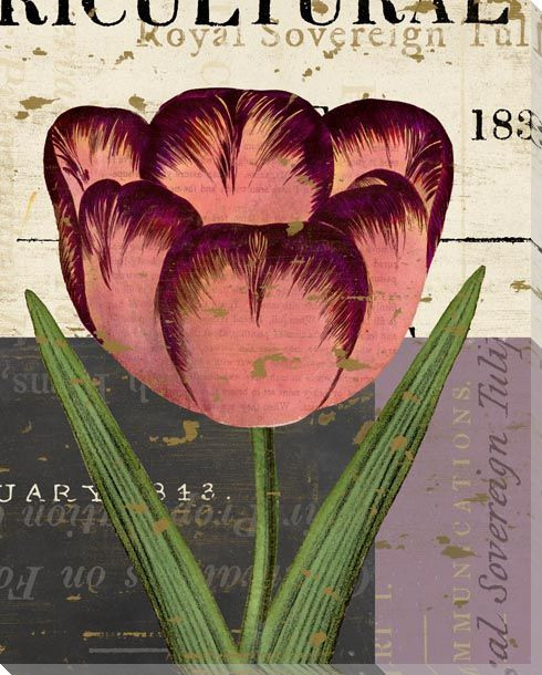 Floricultural Cabinet 1835 Flower 8 Wrapped Canvas Giclee Art Print