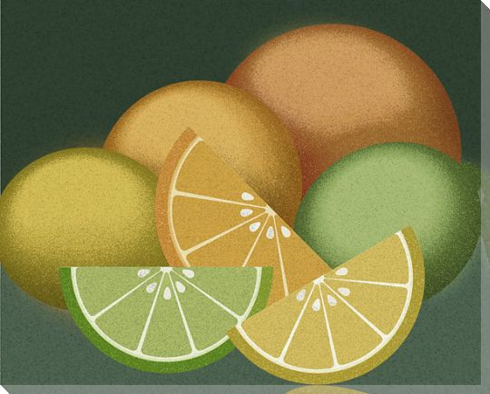 Citrus Still Life Wrapped Canvas Giclee Print Wall Art
