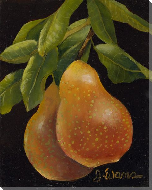 Pair of Golden Pears Wrapped Canvas Giclee Print Wall Art