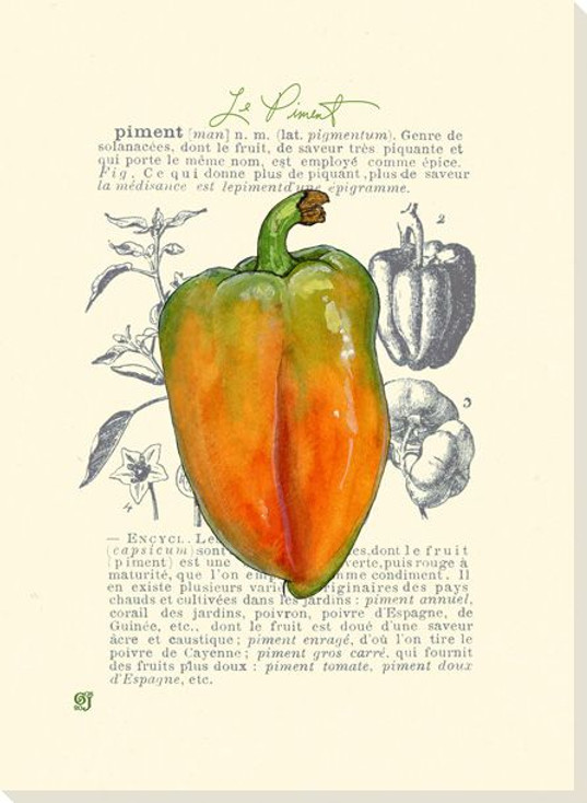 Le Piment Bell Pepper Wrapped Canvas Giclee Print Wall Art