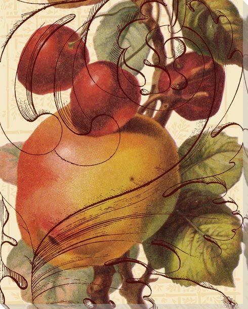 Scrolled Apple and Cherries Wrapped Canvas Giclee Print Wall Art