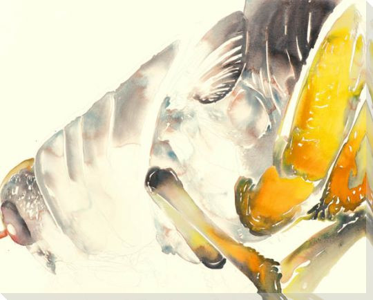 Big Hopper Wrapped Canvas Giclee Print Wall Art