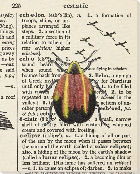 Eclipse Bug Wrapped Canvas Giclee Print Wall Art