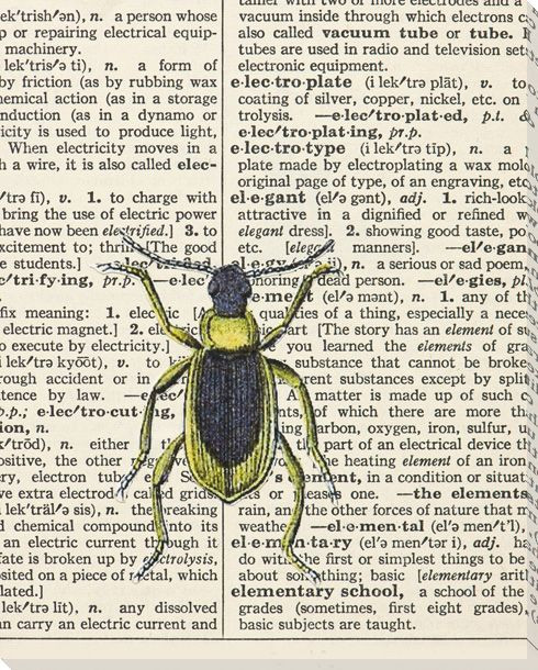 Elegant Bug Wrapped Canvas Giclee Print Wall Art