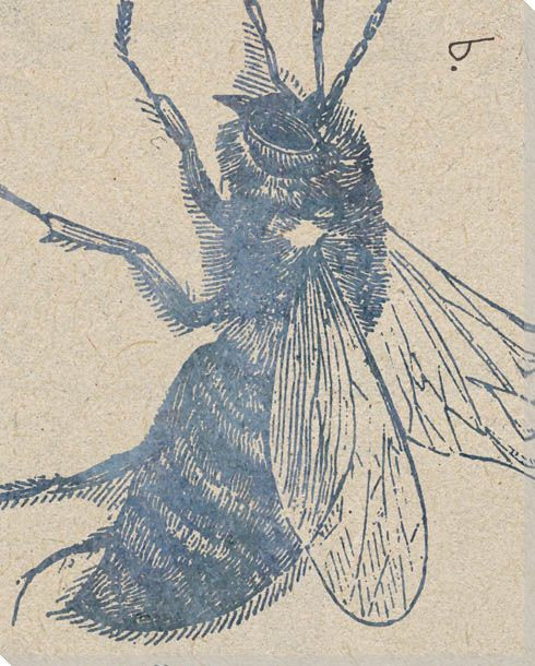 Lion Insect Wrapped Canvas Giclee Print Wall Art