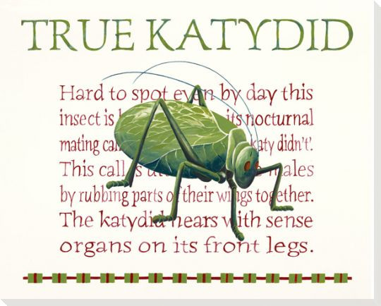 True Katydid Wrapped Canvas Giclee Print Wall Art