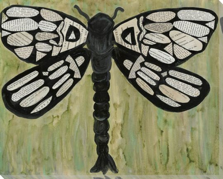 Dragonfly Text Wrapped Canvas Giclee Print Wall Art