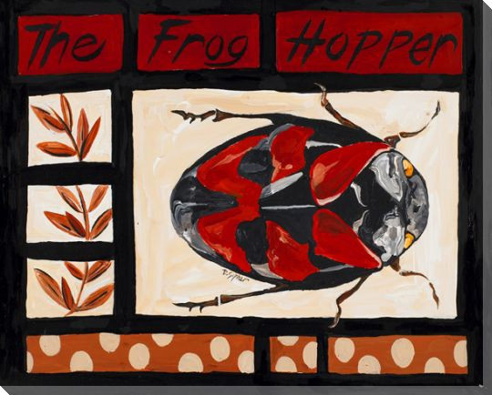 The Frog Hopper Bug Wrapped Canvas Giclee Print Wall Art