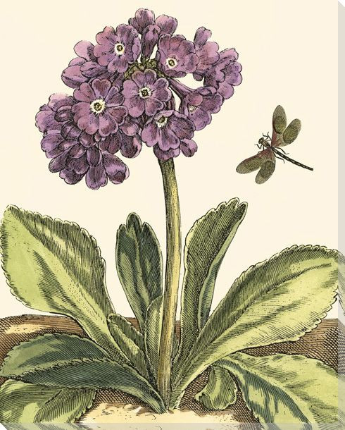 Garden Vignette I Dragonfly Wrapped Canvas Giclee Print Wall Art
