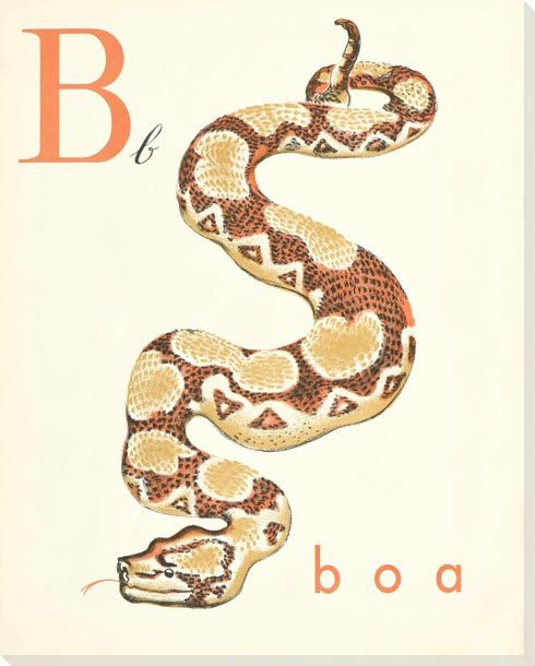 B. Boa Wrapped Canvas Giclee Print Wall Art