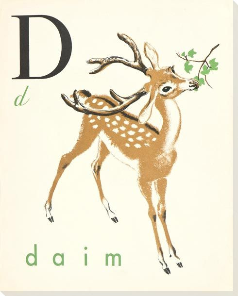 D. Daim Wrapped Canvas Giclee Print Wall Art