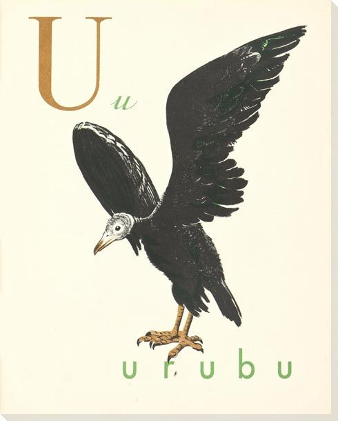 U. Uruba Wrapped Canvas Giclee Print Wall Art