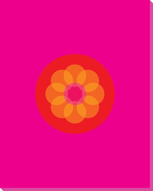 Pink Mod Flower Five Wrapped Canvas Giclee Print Wall Art