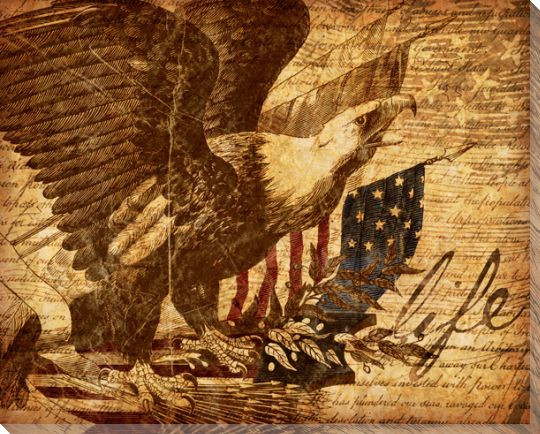 Right of Life Eagle with Flag Wrapped Canvas Giclee Print Wall Art