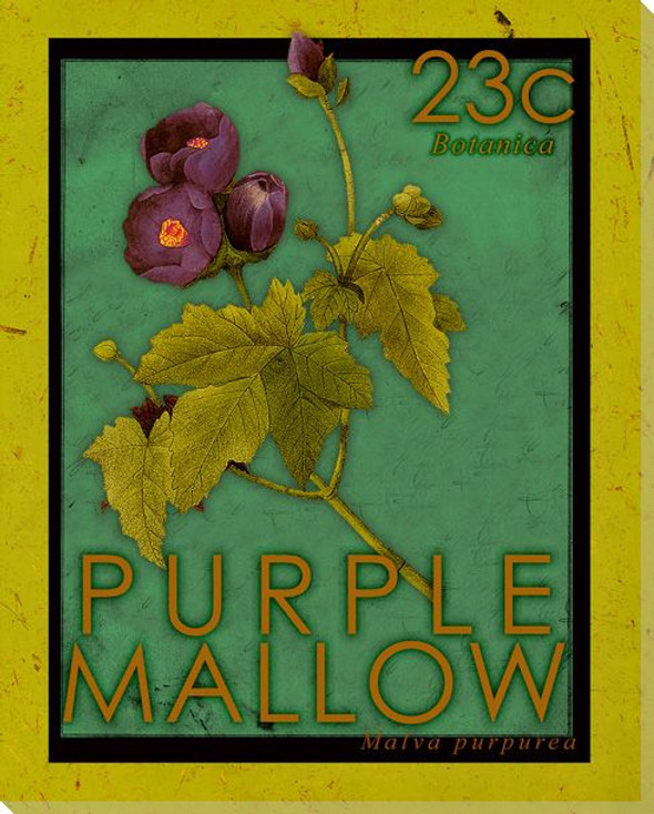 Purple Mallow Stamp Wrapped Canvas Giclee Print Wall Art