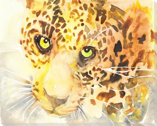 Cheetah Wrapped Canvas Giclee Art Print Wall Art