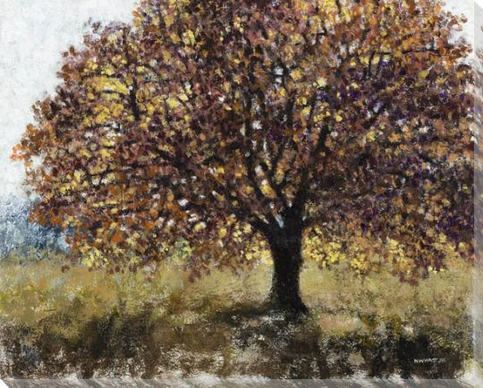Fireflies Tree Wrapped Canvas Giclee Print Wall Art