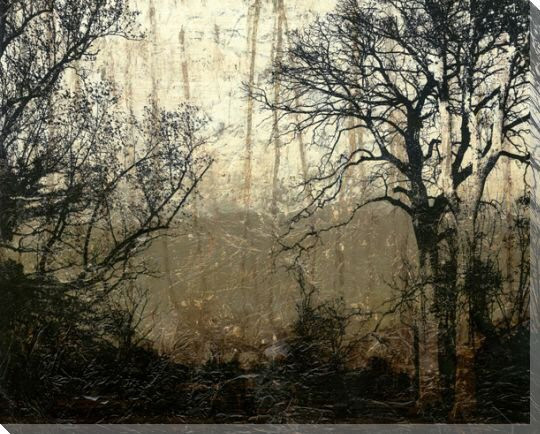 Wooded Solitude II Wrapped Canvas Giclee Print Wall Art