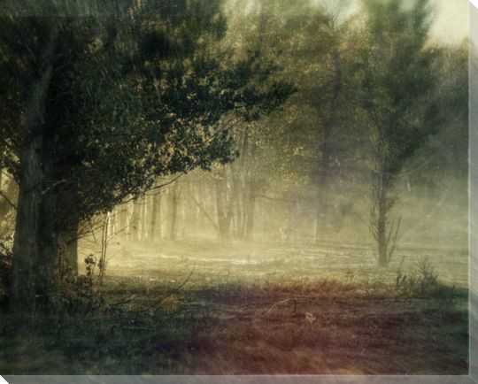 Fairies Scenic View Wrapped Canvas Giclee Print Wall Art