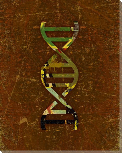 Symbolic DNA Wrapped Canvas Giclee Print Wall Art