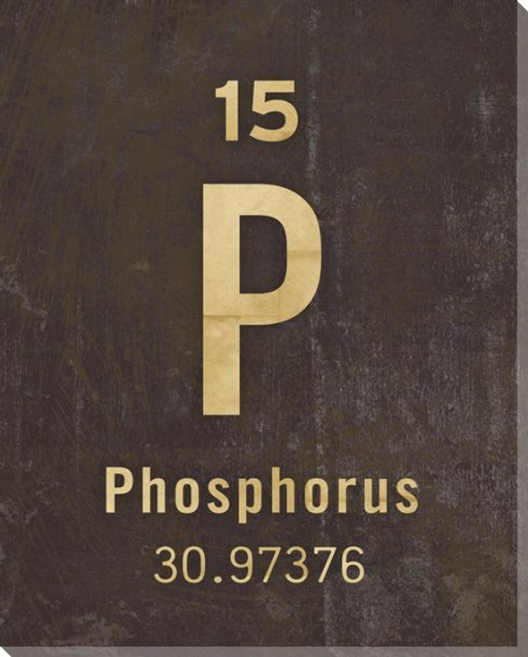 Phosphorus - Periodic Table of Elements Wrapped Canvas Print