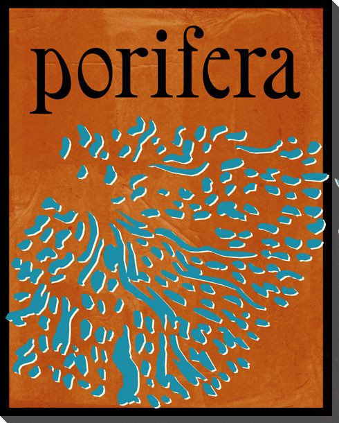Porifera Wrapped Canvas Giclee Print Wall Art