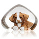 Mats Jonasson Crystal Dogs Sculptures