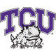 Texas Christian Horned Frogs