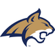 Montana State Fighting Bobcats