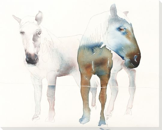 Nuzzle Two Horses Wrapped Canvas Giclee Print Wall Art - Wall Decor ...