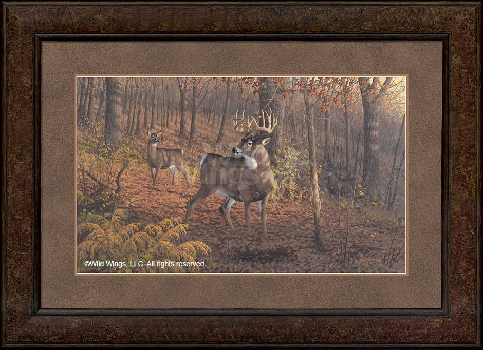 Fall Rut Whitetail Deer Framed Canvas Giclee Art Print Wall Art Wall