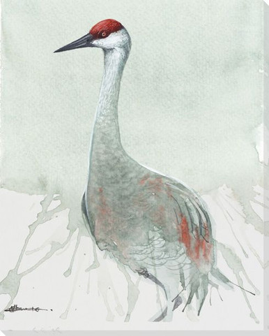 Standing Sandhill Crane Bird Wrapped Canvas Giclee Print ...